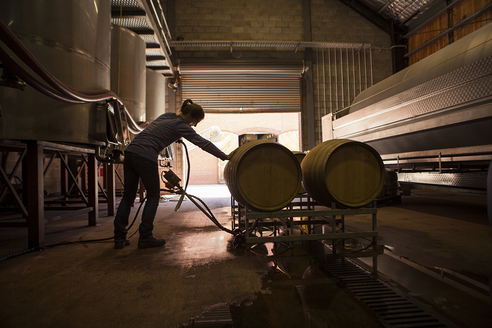 willow-creek-winery