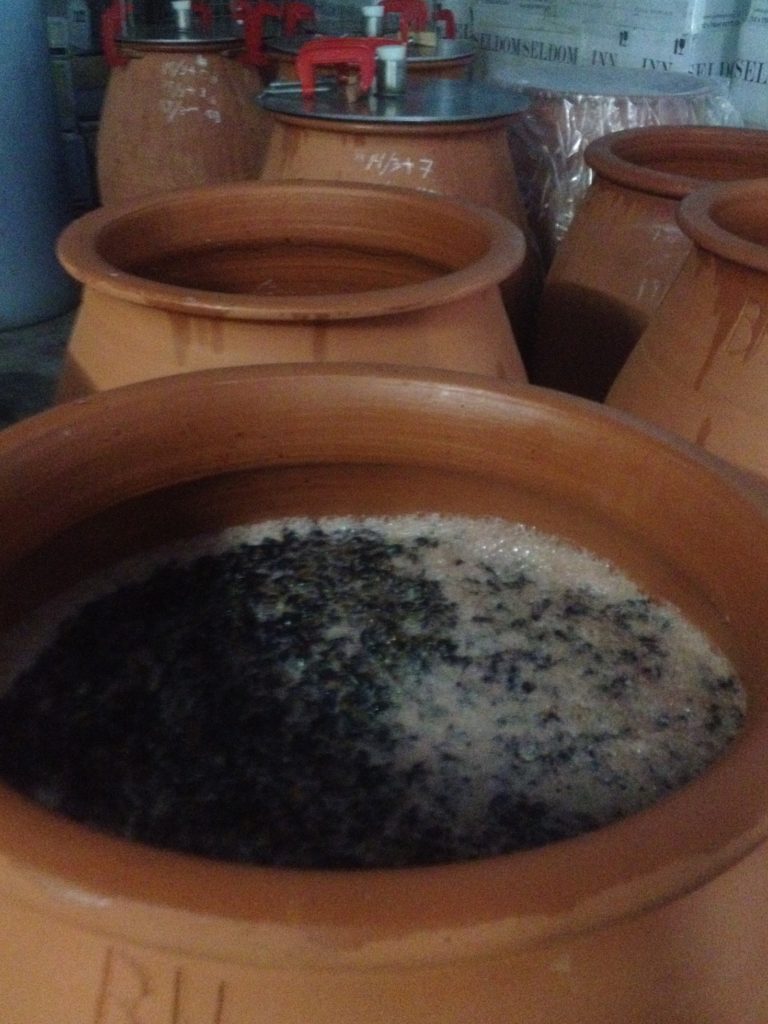 higgins amphora