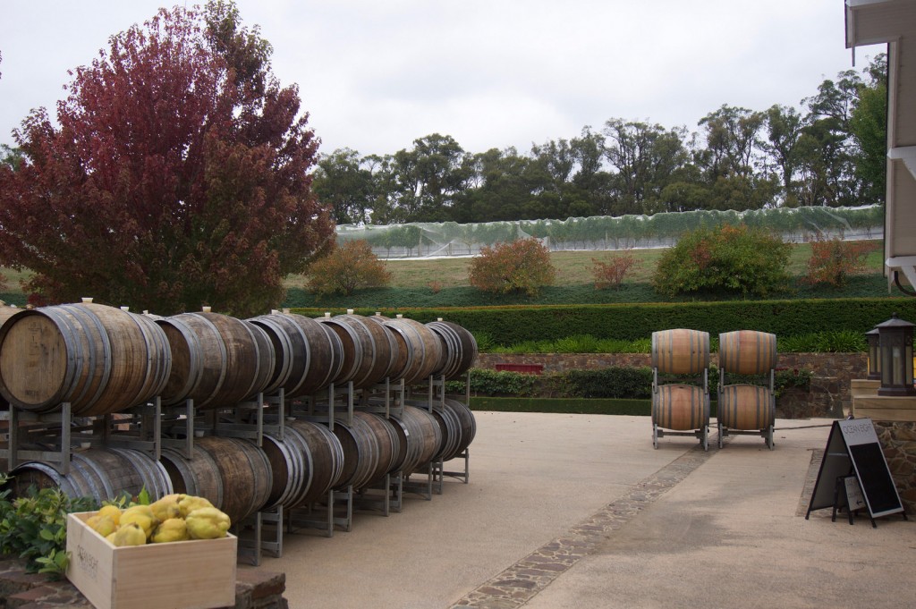 Outside the cellar door 